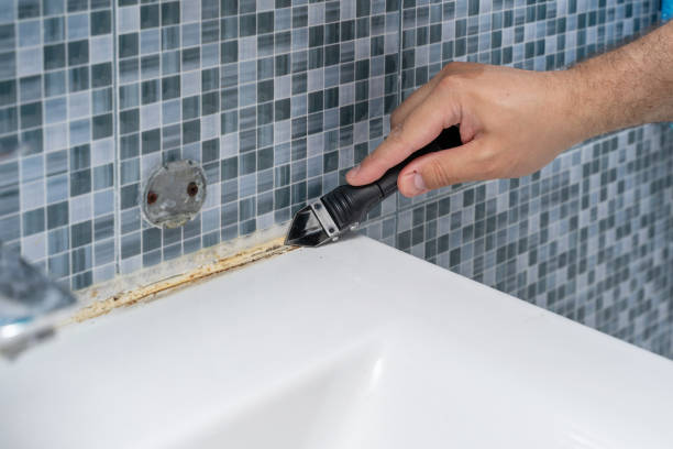 Best Best Mold Removal Companies  in East Flat Rock, NC