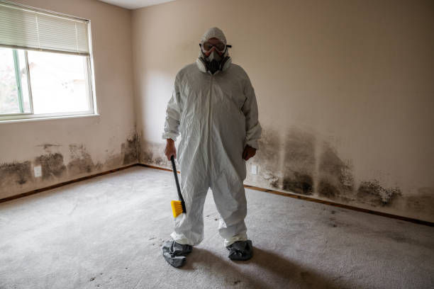 Best Mold Testing  in East Flat Rock, NC